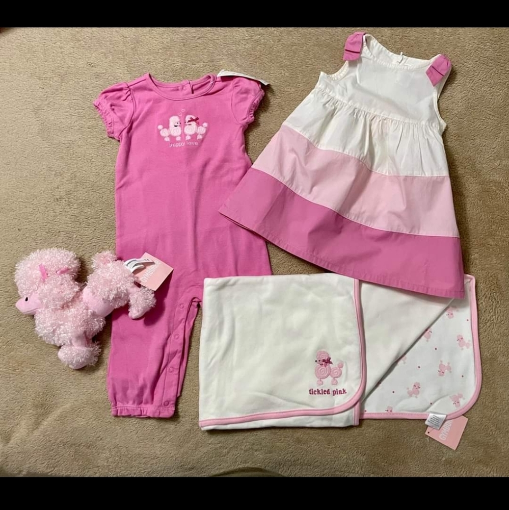Gymboree Girls NWT New With Tags Pretty Pink Poodle Dress Plush Blanket Set 6-12